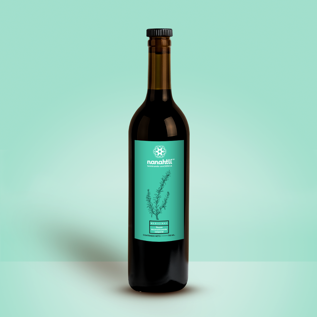 Imagen de la familia AMBROSIAS